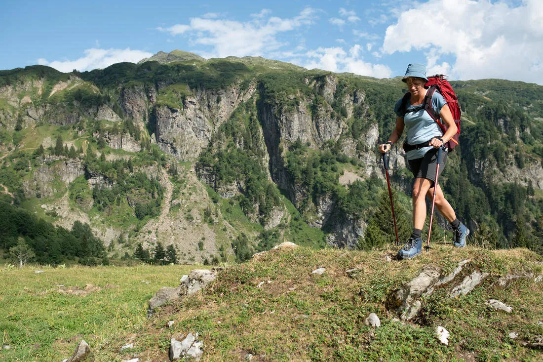 1 bâton canne de randonnée - MT100 Ergonomique vert
