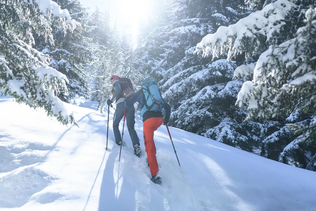 1 bâton de randonnée quatre saisons - MT500 All Season rouge