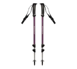 Black Diamond Bâtons de Marche Trail Explorer 3