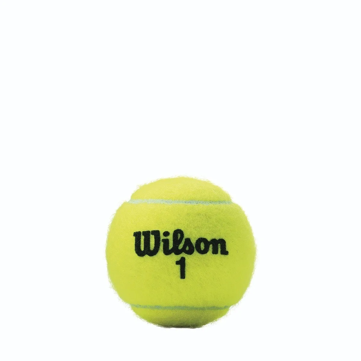 Championship Extra Duty Tennis Ball - 4 Ball Can