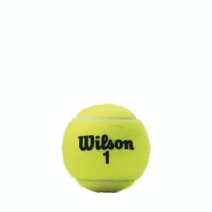 Championship Extra Duty Tennis Ball - 4 Ball Can