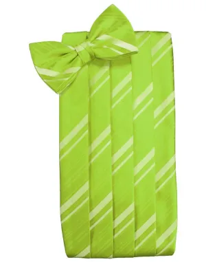 Lime Striped Satin Cummerbund