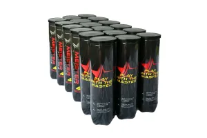 Meister Platinum 4 Ball BOX (18 x 4)