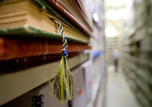 Michigan Supreme Court Research