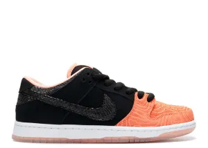 Nike SB Fish Ladder