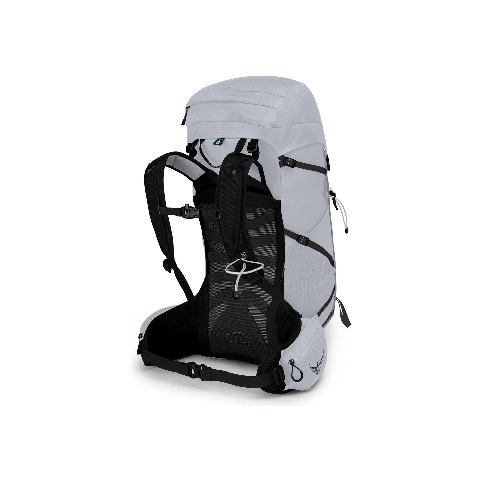 Osprey Tempest 30