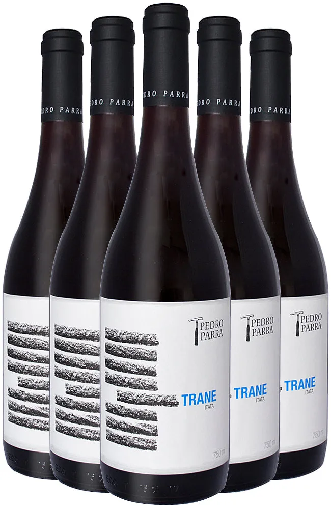 Pedro Parra 'Trane' Cinsault 2021