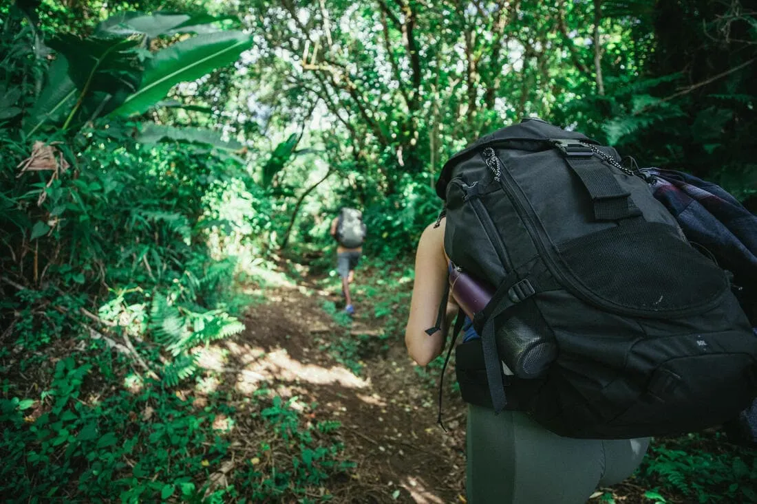 Sac à dos de trekking 50 L - MT100