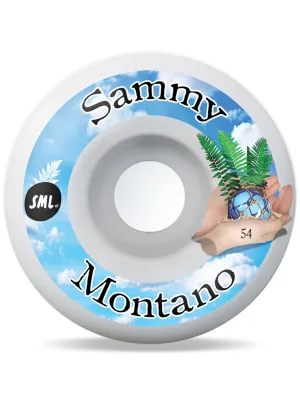 Sml Wheels Sammy Montano Tide Pools AGF 99A Wheels 54mm