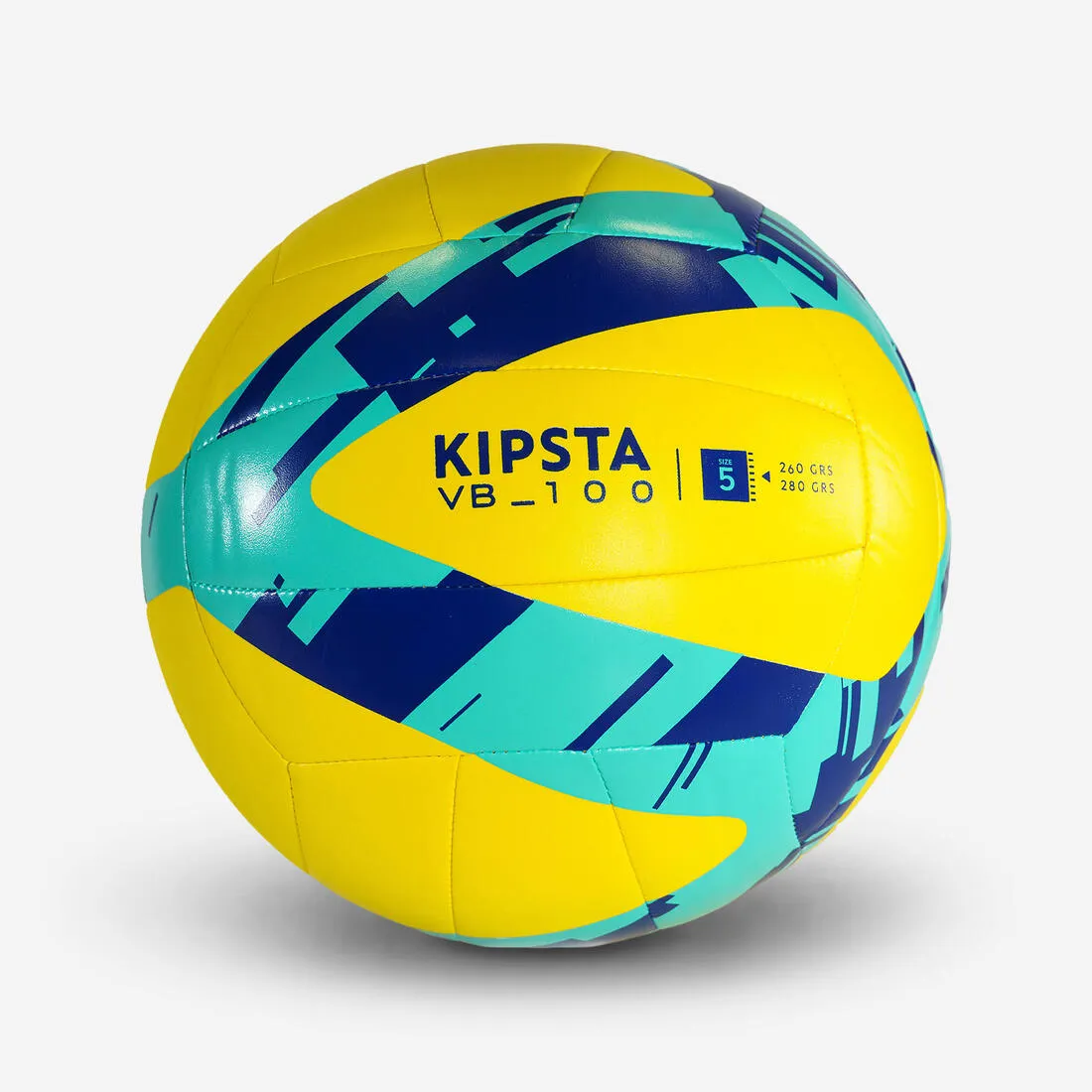 Starter Volleyball V100