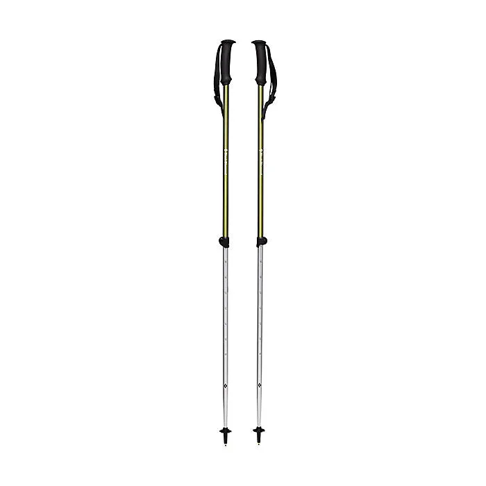 TRAIL EXPLORER 2 TREKKING POLES
