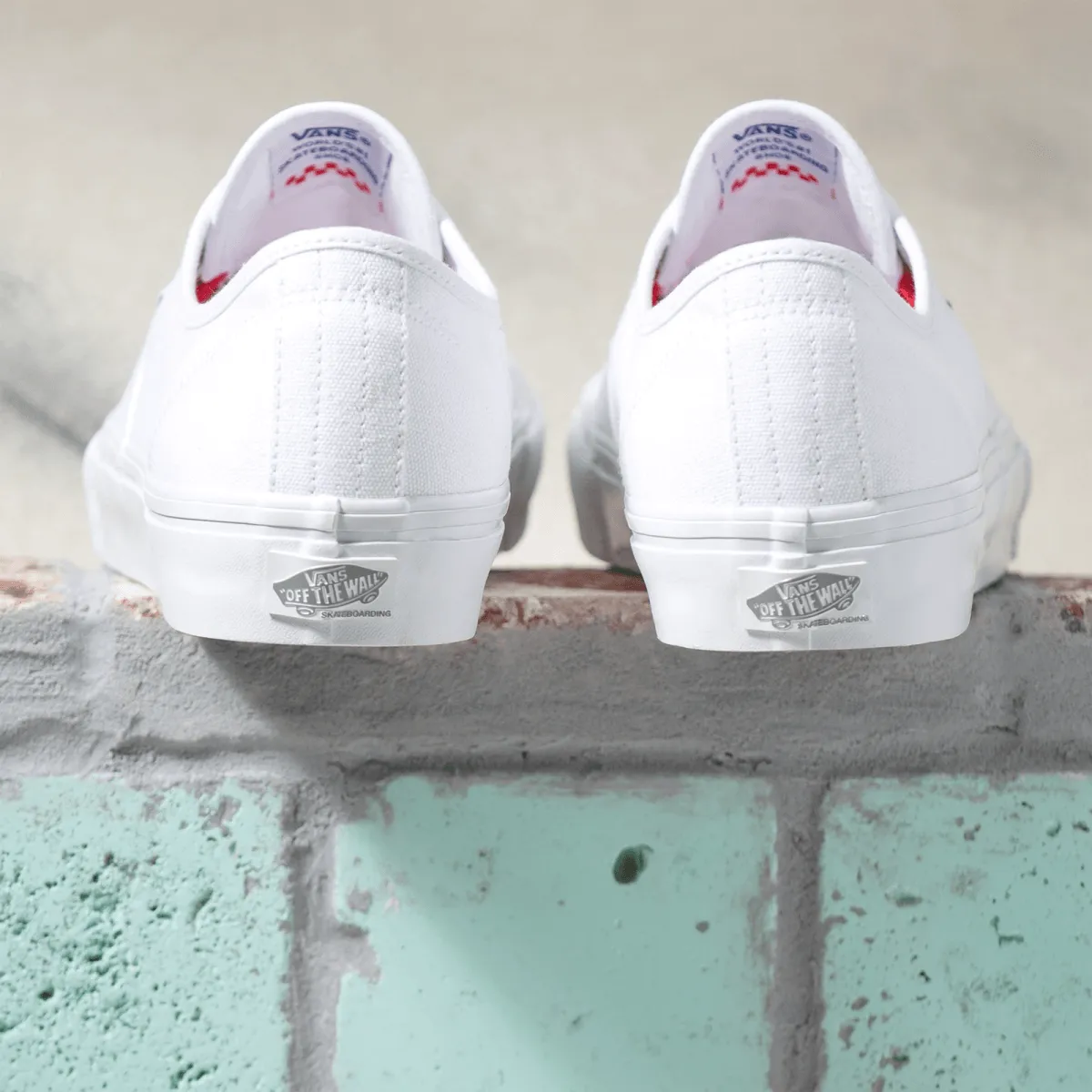 VANS SKATE AUTHENTIC
