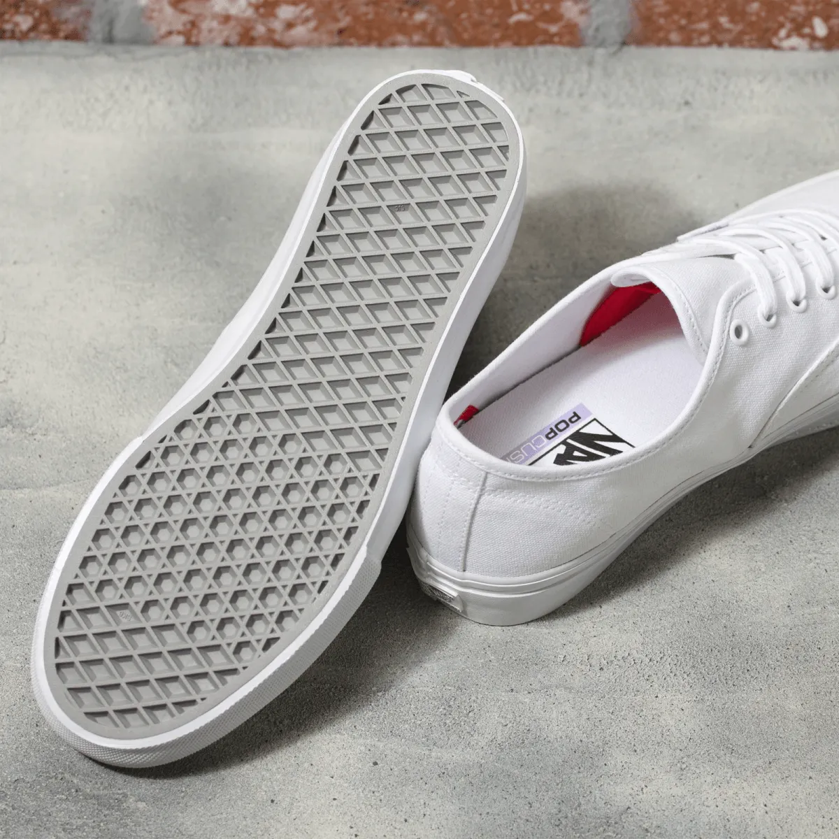 VANS SKATE AUTHENTIC