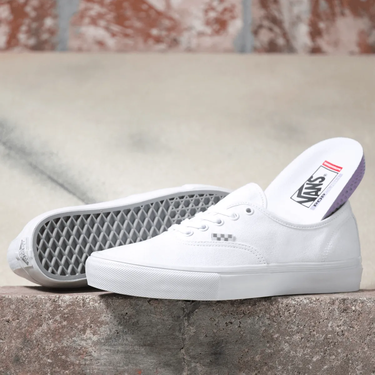 VANS SKATE AUTHENTIC