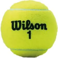 Wilson Championship Tennis Balls
